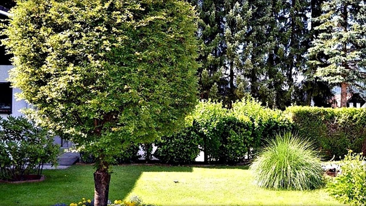 Ferienwohnung Neuhuber Bad Goisern Exteriör bild